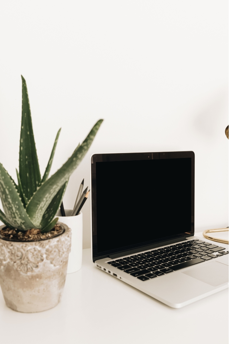 Your Website is Live…Now What? (Why Ongoing Support Matters)